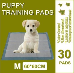 Scented Dog Training Urine Pad 60*45cm