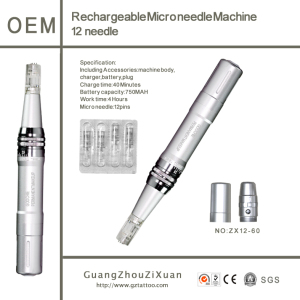 Rechargeable Dermapen Machine Dermaroller Microneedle Therapy Beauty Pen (ZX12-60)