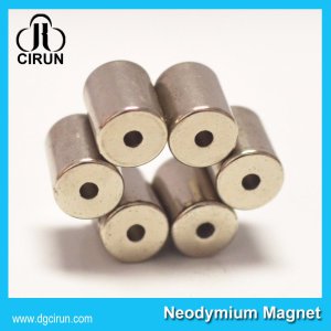Custom Ring Cylinder Strong Permanent NdFeB Neodymium Magnet